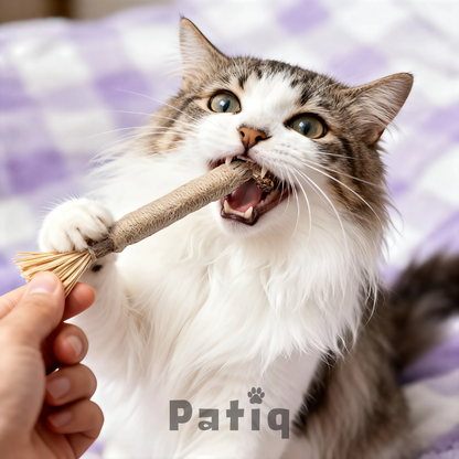 Patiq Doğal Matatabi Sticks