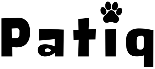 Patiq